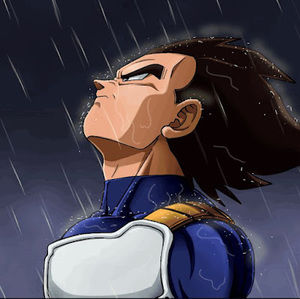 Meet your Posher, Vincent